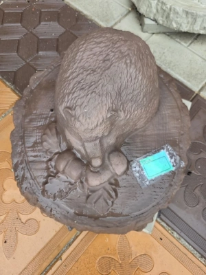 Ежик на пенке